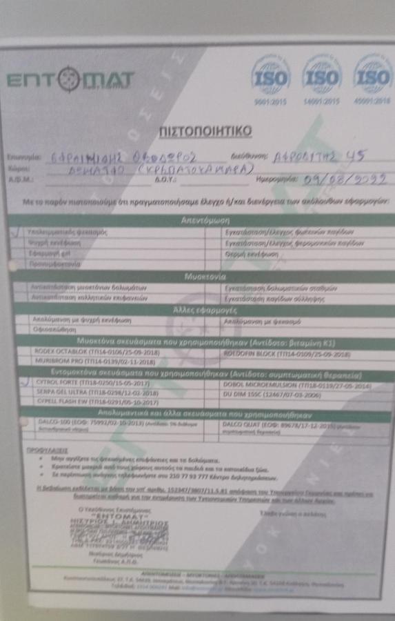 Studio In Thessaloniki Near Airport And Exit For Chalkidiki 아파트 외부 사진